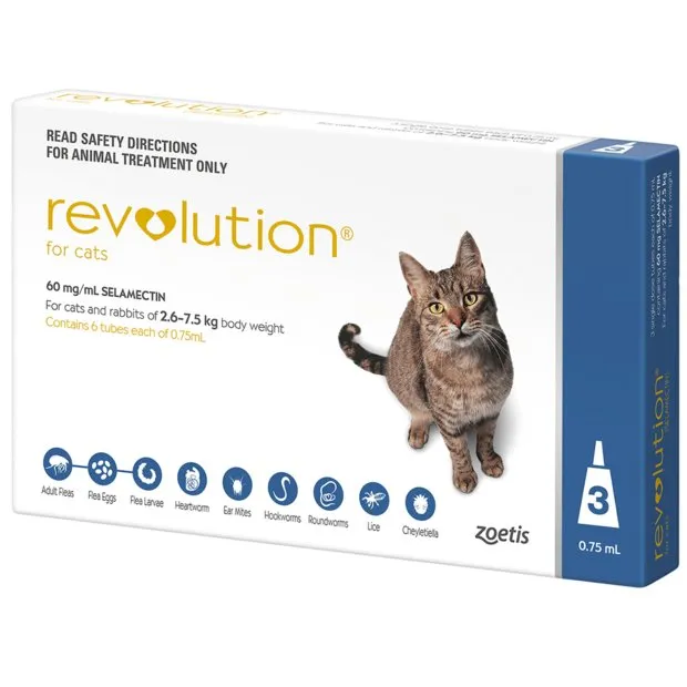 Revolution Cats