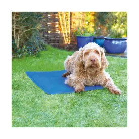 Rosewood Pet Cool Mat