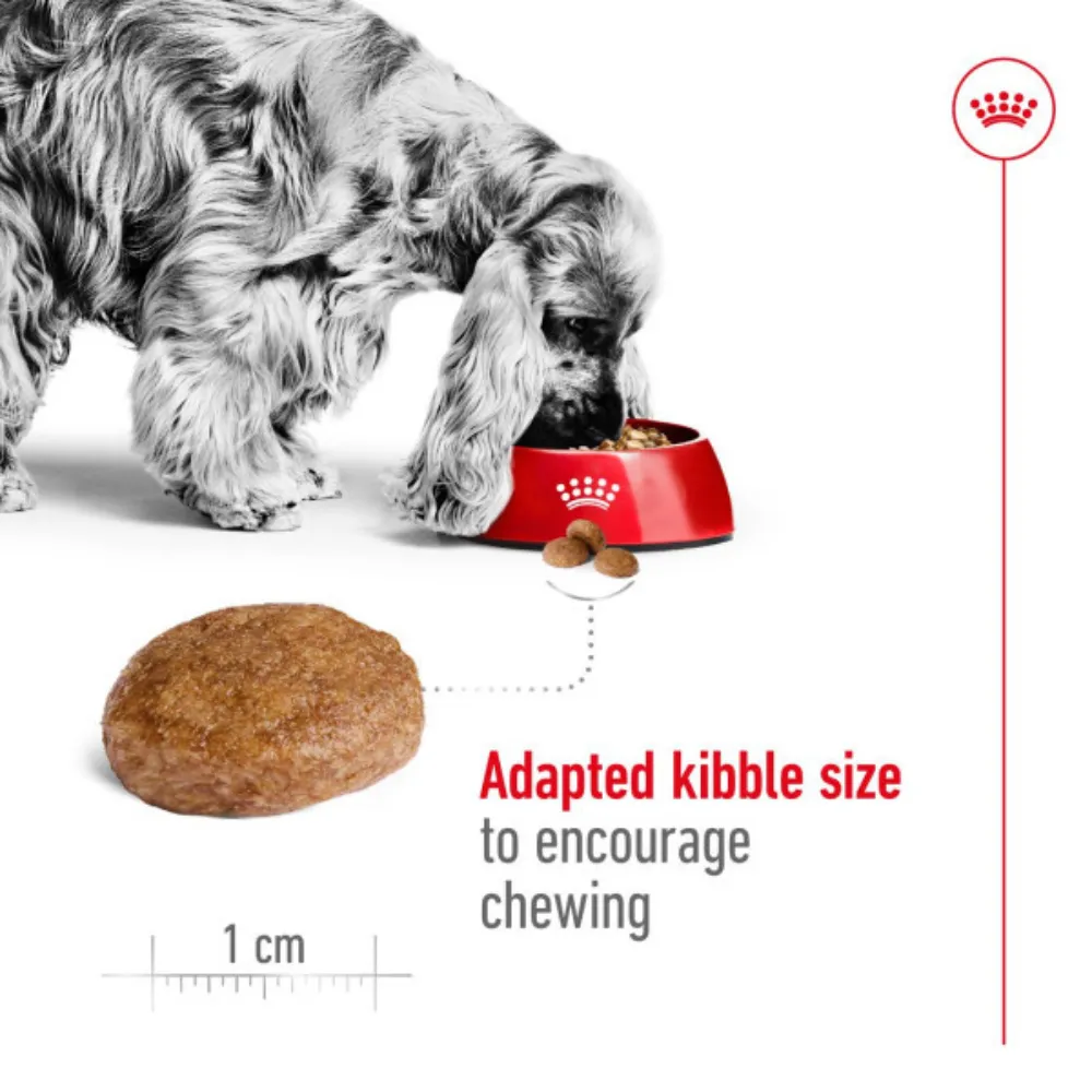 Royal Canin Medium Adult 7 