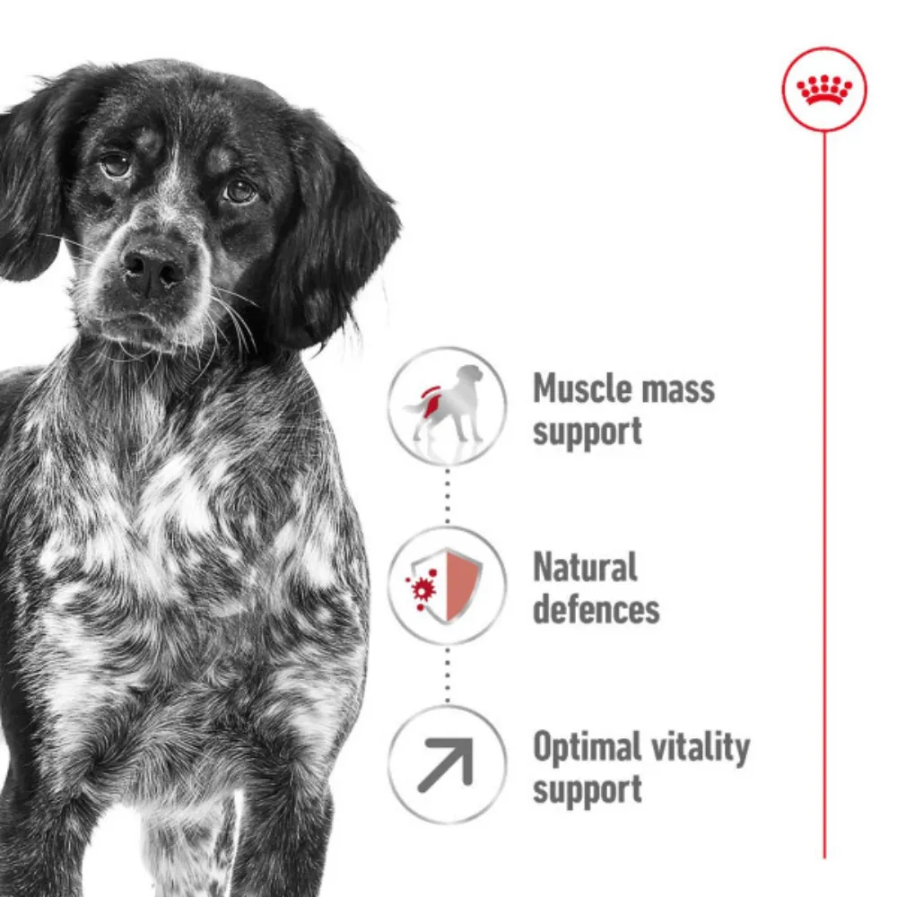 Royal Canin Medium Adult 7 
