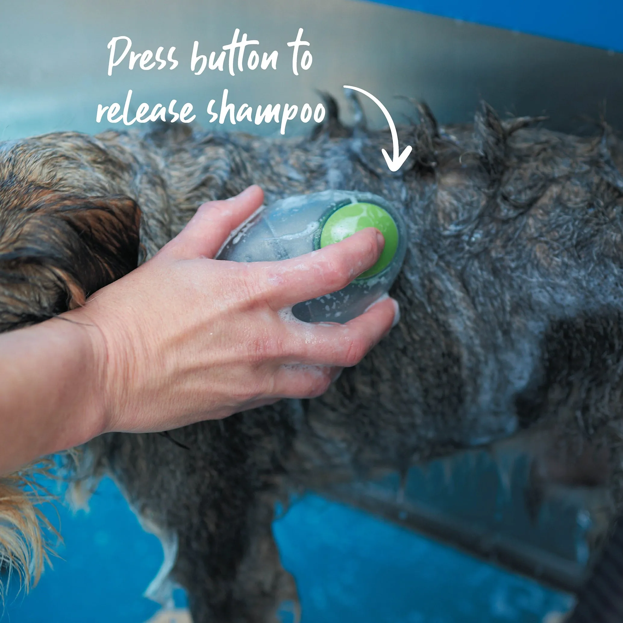 Shampoo Brush