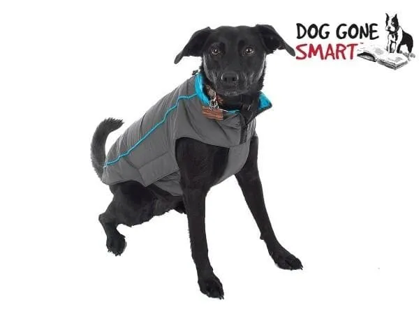 Sleek Trailblazer 8" Dog Jacket