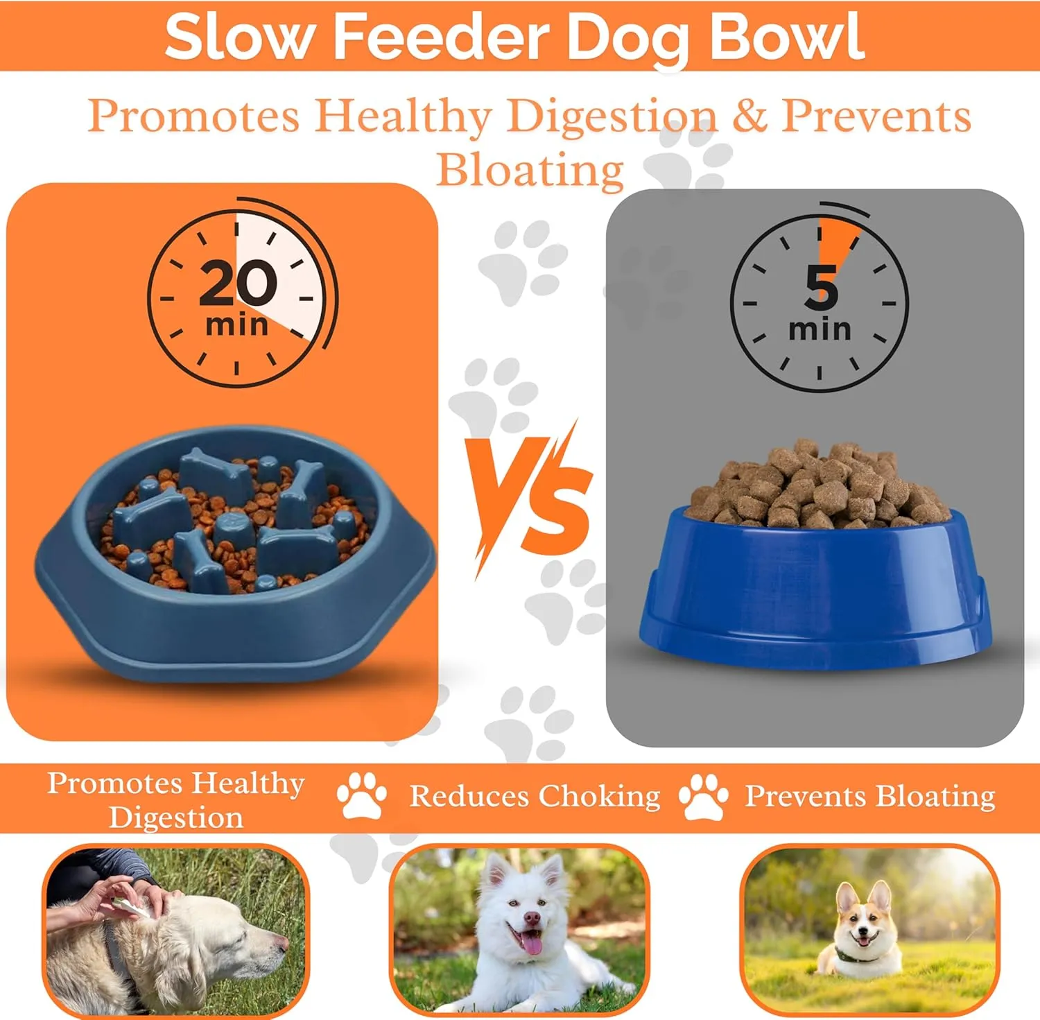 Slow Feeder Dog Food Bowl  Interactive Dog Food Dish for Breeds, Bowl Designed to Slow Eating, Promotes Healthy Digestion and Prevents Bloat, Ideal for Cats and Dogs