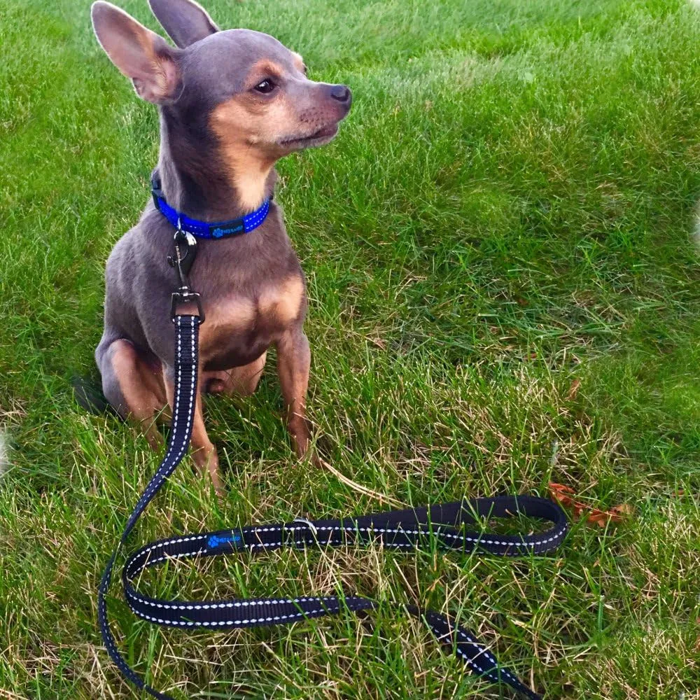 Small Dog Reflective Nylon Dog Leash - We Donate a Leash to a Dog Rescue for Every Leash Sold (Black, 4X5/8)