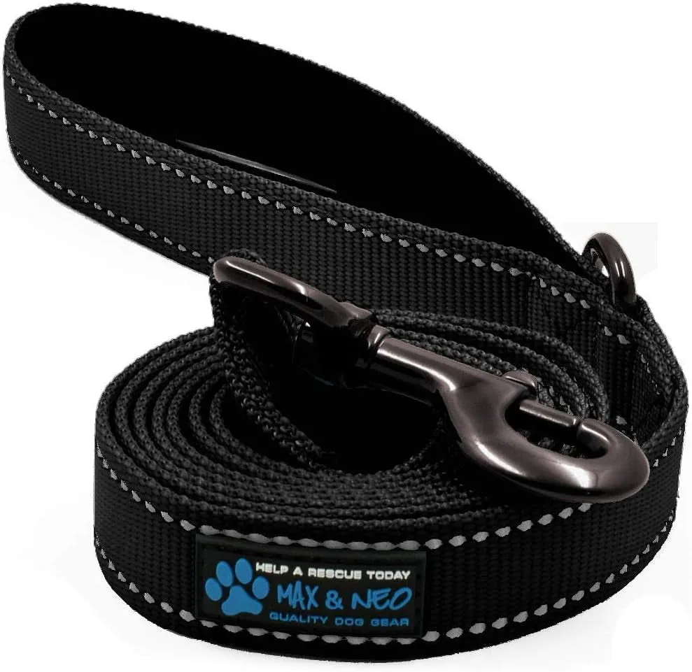 Small Dog Reflective Nylon Dog Leash - We Donate a Leash to a Dog Rescue for Every Leash Sold (Black, 4X5/8)