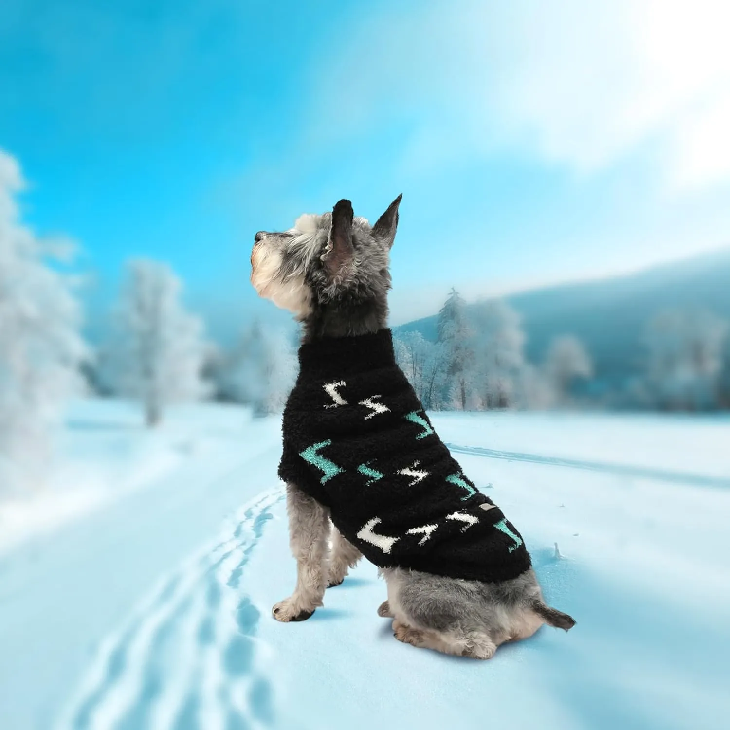 Sweater for Small Dogs - Boy Girl Pullover, Cold Weather Cable Knitwear, Thick Warm Outfit for Chihuahua, Bulldog, Dachshund, Pug, Yorkie (Black-XS)