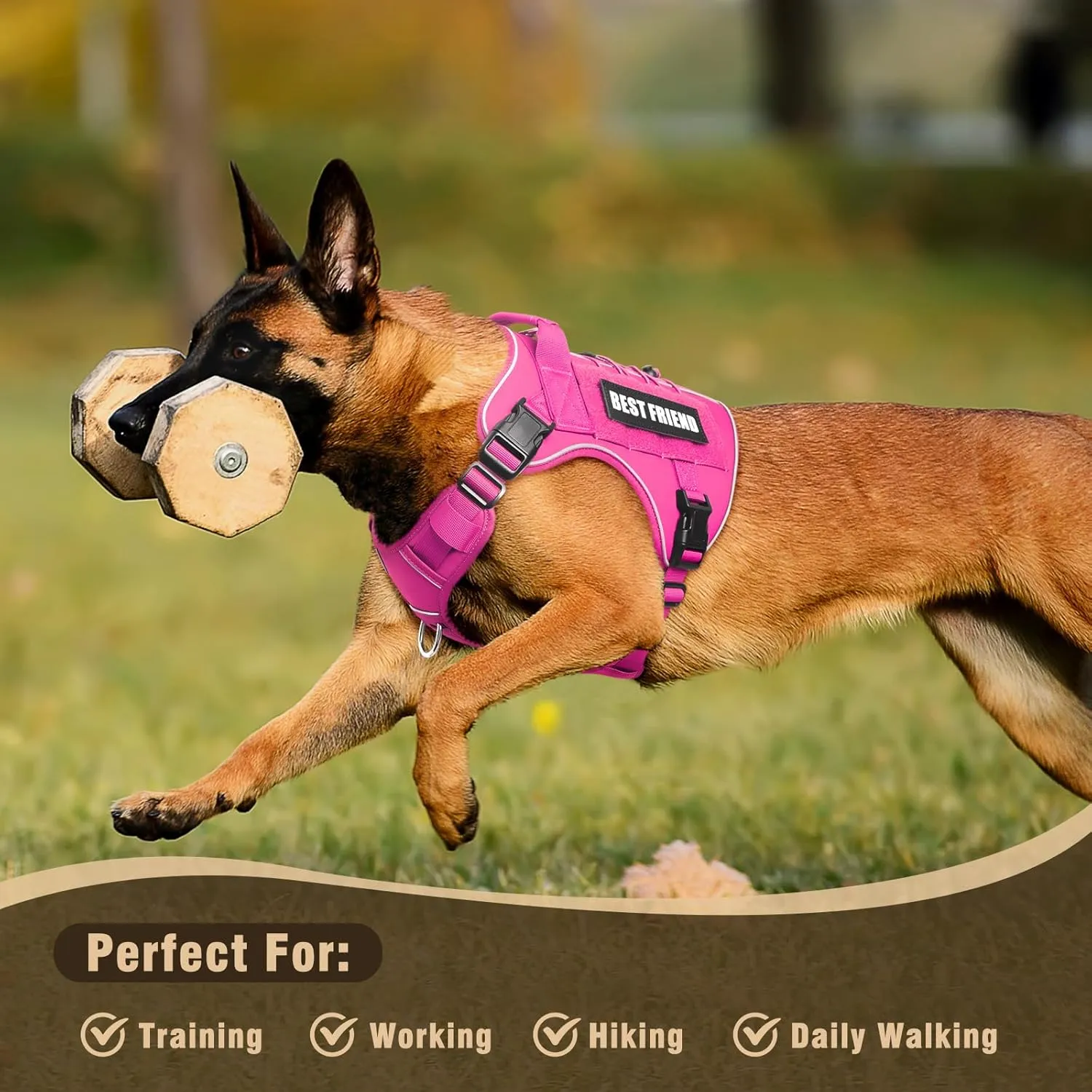 Tactical Dog Harness Small Sized Dog,No Pull Military Dog Vest with Handle,Reflective Heavy Duty Pet Harness for Walking Hiking Training Hot Pink S