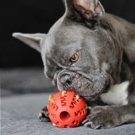 Teeth Cleaning Dog Chew Treat Ball