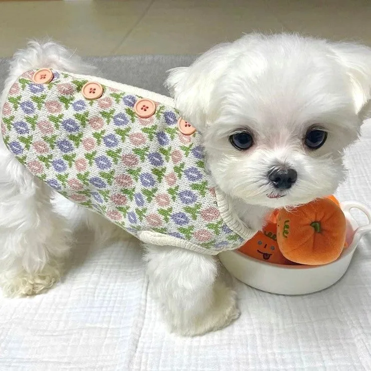 Tulip Classy Button Back Pet Jacket Vest