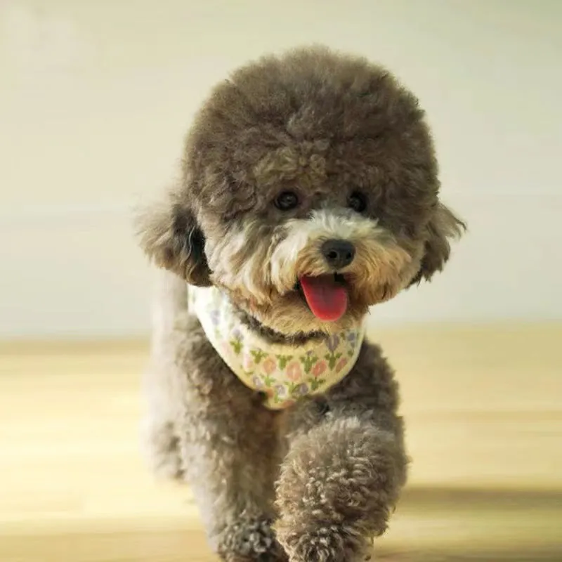 Tulip Classy Button Back Pet Jacket Vest