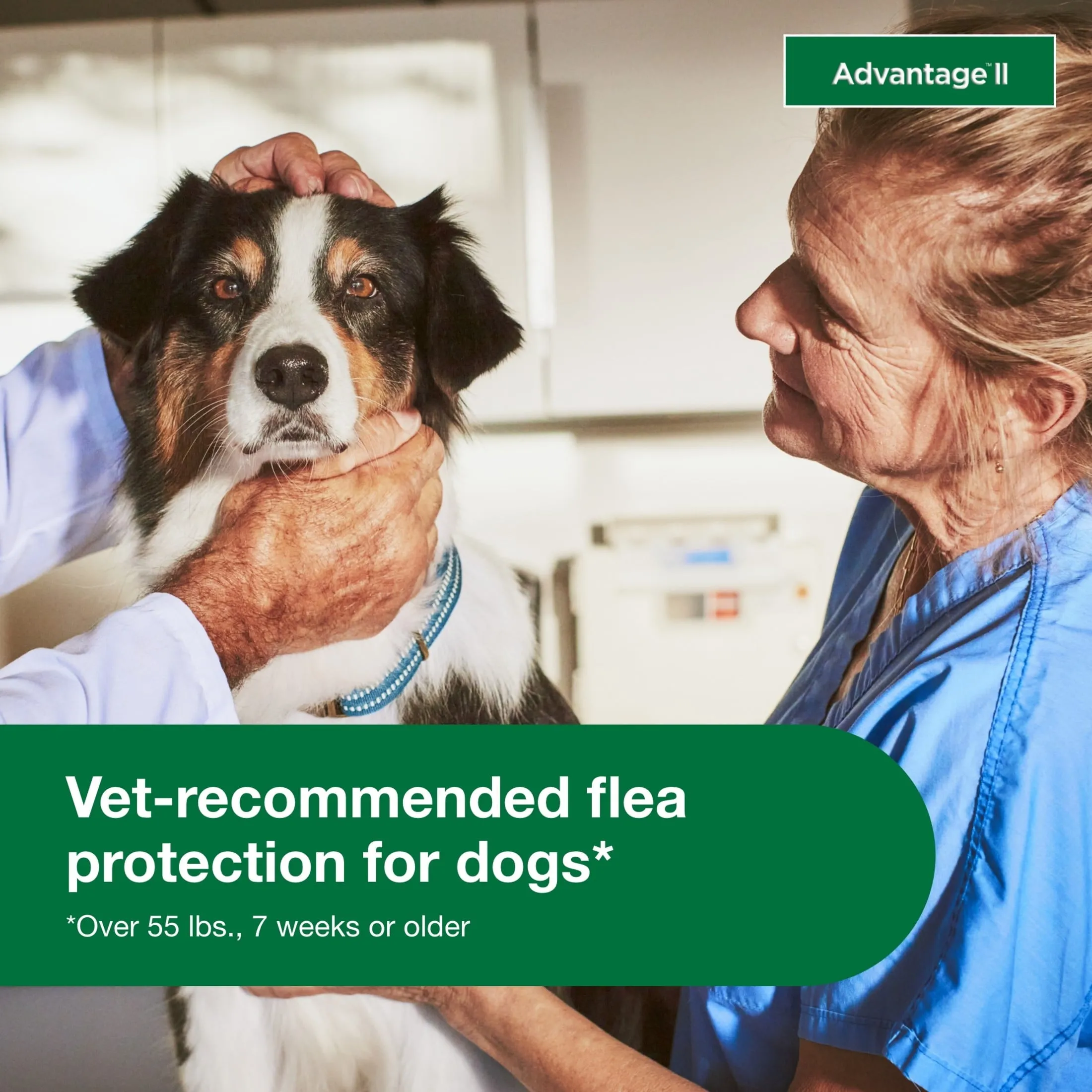 Vet-Recommended Flea Prevention for XL Dogs 55 Lbs , 6-Monthly Treatments