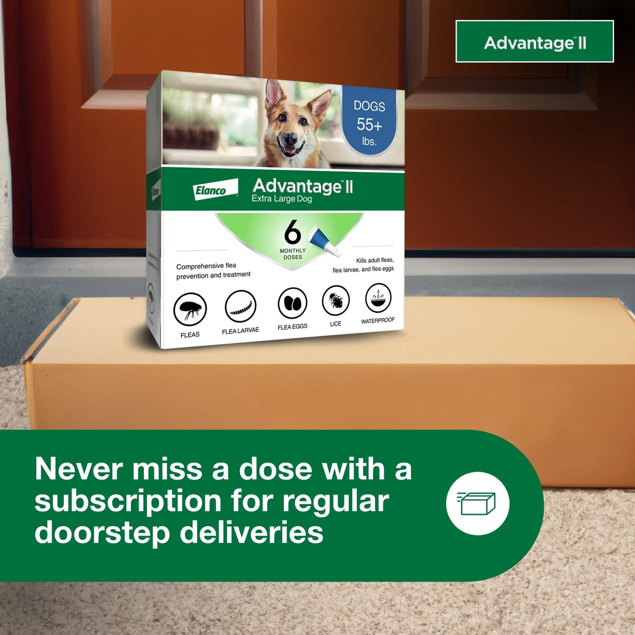 Vet-Recommended Flea Prevention for XL Dogs 55 Lbs , 6-Monthly Treatments
