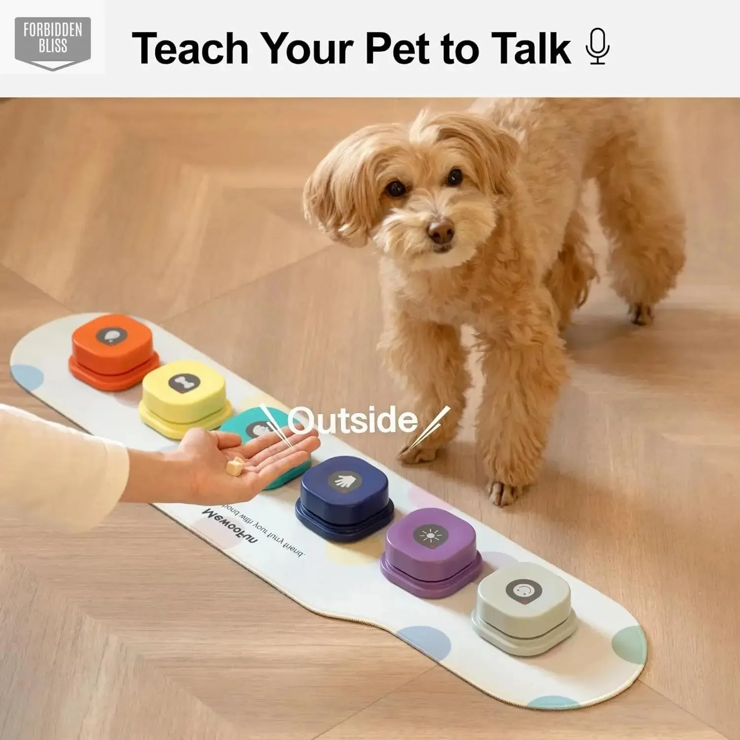 Voice Recording Pet Toys