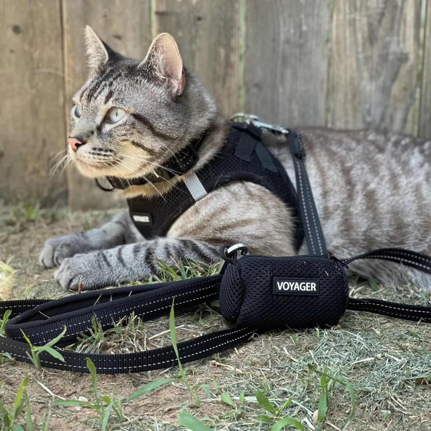 Voyager Step-in Air All Weather Mesh Harness and Reflective Dog 5 ft Leash Combo with Neoprene Handle, for Small, Medium and Large Breed Puppies by Best Pet Supplies - Set (Black), S