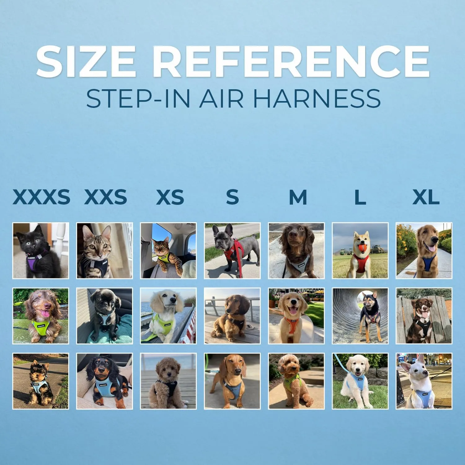 Voyager Step-in Air All Weather Mesh Harness and Reflective Dog 5 ft Leash Combo with Neoprene Handle, for Small, Medium and Large Breed Puppies by Best Pet Supplies - Set (Black), S